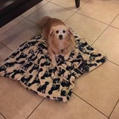 SFC Edward Rodriguez