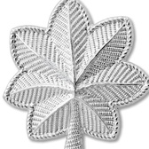 CH (LTC) Matthew Gibson