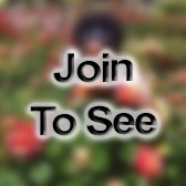 PO1 Leading Petty Officer (Lpo)