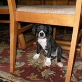 PO2 H. Donald Spiares