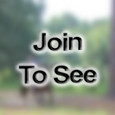 PO1 Fca1/67 A/67 B Wcs