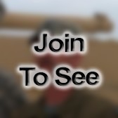 2d Lt Clinical Nurse