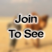 LTC Deputy Aor Chief