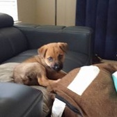 SSG Christopher Gaiser