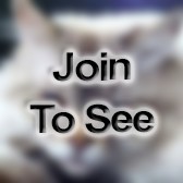 CPO Leading Chief Petty Officer (Lcpo)