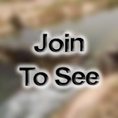 SFC Platoon Sergeant