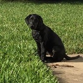 CPO Blain Meisterhans