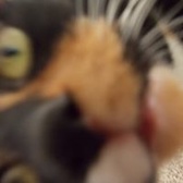 SPC Benjamin Ponchetti