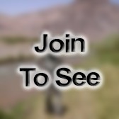 SGT (Other / Not listed)