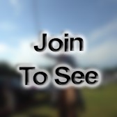 CPT Excutive Officer