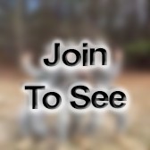 COL Deputy Commander