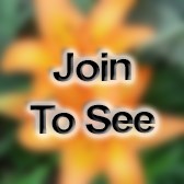 TSgt Training Manager