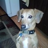 SMSgt Theodore Heiman