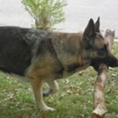 SPC Christopher Richar