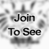 SPC Small Arms/Artillery Repairer