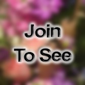 COL Aviation All-Source Intelligence