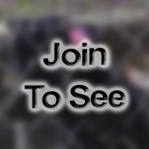 SGT Maintenance Team Chief