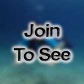 CW2 Network Technician