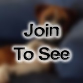 SFC Brigade Engineer