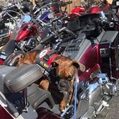 MCPO David Morningstar