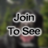 SFC Healthcare Specialist (Combat Medic)