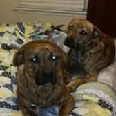 LCpl Anthony Kuhn Sr