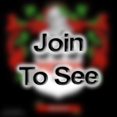 SMSgt Security Forces