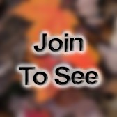 MAJ Brigade Judge Advocate