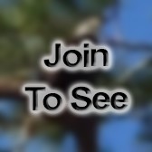 SSgt Pharmacy Technician