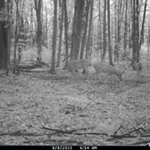 GySgt Gene Pickering