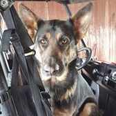 LCpl Mark Summerville