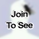 CW3 Automotive Maintenance Warrant Officer