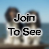 2LT Infantry Officer