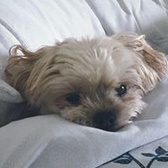 SCPO Angela Bousquet