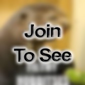 Capt Munitions Maintenance Officer