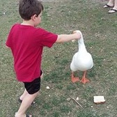 LCpl Joseph Wilschek