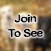 MSgt Munitions Systems