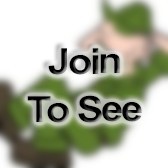 SFC Uh 60 Technical Inspector