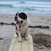 MSgt Michael Callahan