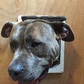 Cpl Derek Farrington