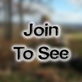 PO1 Quality Assurance Representative (Qar)