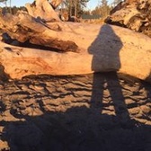 PO1 Kristine Klaerner