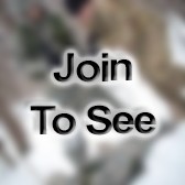 SFC Indirect Fire Infantryman (Mortarman)