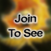 SSG (Other / Not listed)