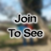 COL Information Systems Management