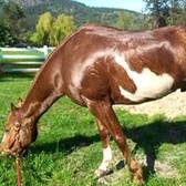 MSgt Cecelia Hagland