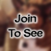 COL Simulation Operations