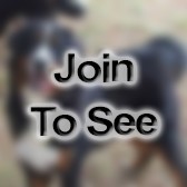 CAPT Deputy Sector Commander