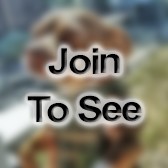 SSG Special Forces Weapons Sergeant