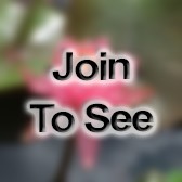 CWO3 Cyber Development